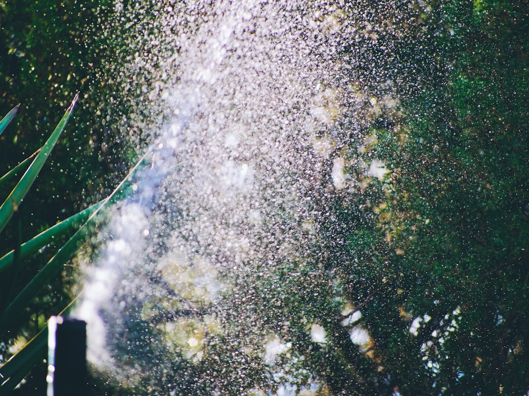 Arrosage Automatique Mise En Route